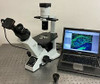 Olympus CKX31 Inverted Phase Contrast Microscope