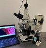 Nikon Optiphot Broadband Led Fluorescence Microscope 5MP Cam Laptop