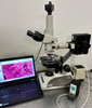 Nikon Optiphot 2 Broadband Led Fluorescence Microscope 5MP Cam