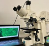 Zeiss Axioplan Broadband Led Fluorescence Microscope 5MP Cam Laptop