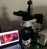 Olympus BX41 Ergo Fluorescence Microscope Tricular 5MP Camera System