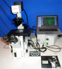 Olympus IX81 F-3 Microscope Inverted Fluorescence Automated Live Cell Microscope