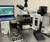 Olympus BX61 Microscope Nomarski Dic Fluorescence Marzhauser Scanning