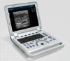 Portable Veterinary Ultrasound Scanner Laptop Convex Probe Pw Pulse Wave Doppler