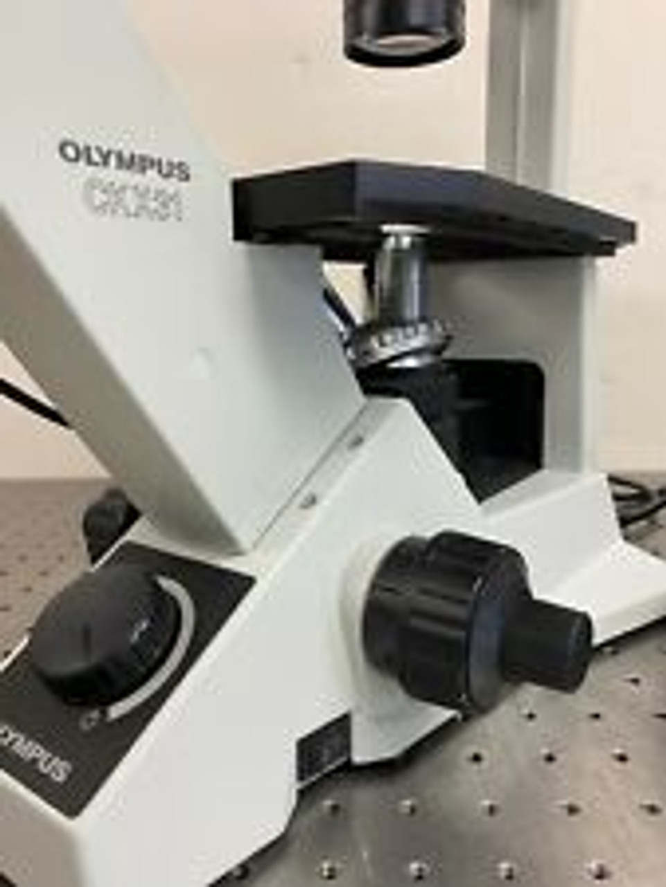 Olympus CKX31 Inverted Phase Contrast Microscope