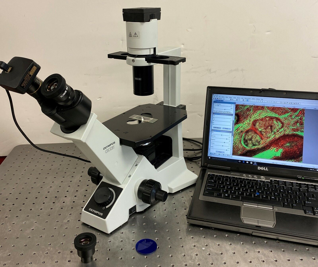 Olympus CKX31 Inverted Phase Contrast Microscope