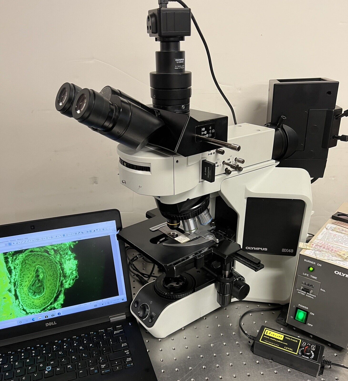 Olympus BX43 Fluorescence Microscope Tricular 5MP Camera System Laptop