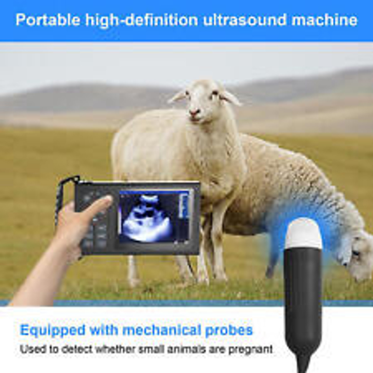 Pet Ultrasound Machine Veterinary Portable Handheld Goat Cattle Pregnancy