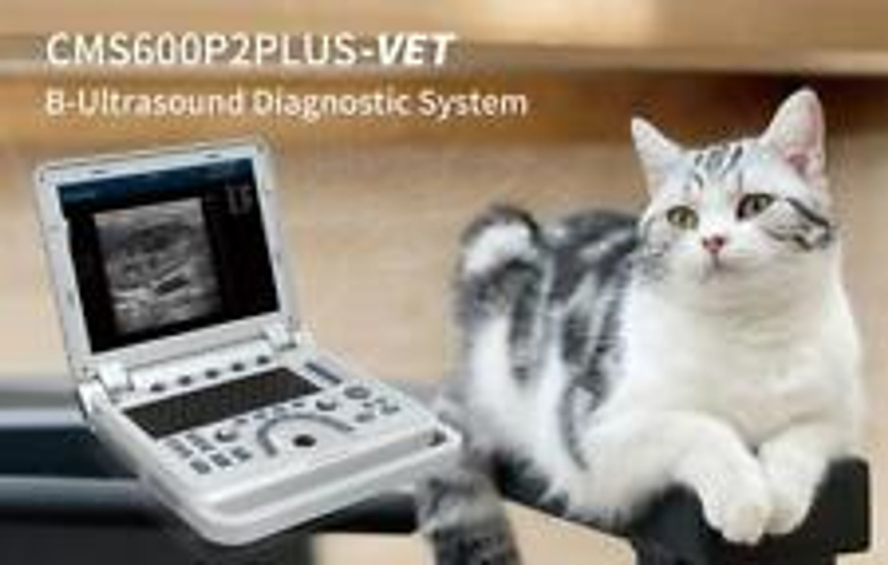 Portable Veterinary Ultrasound Scanner Laptop Convex Probe Pw Pulse Wave Doppler