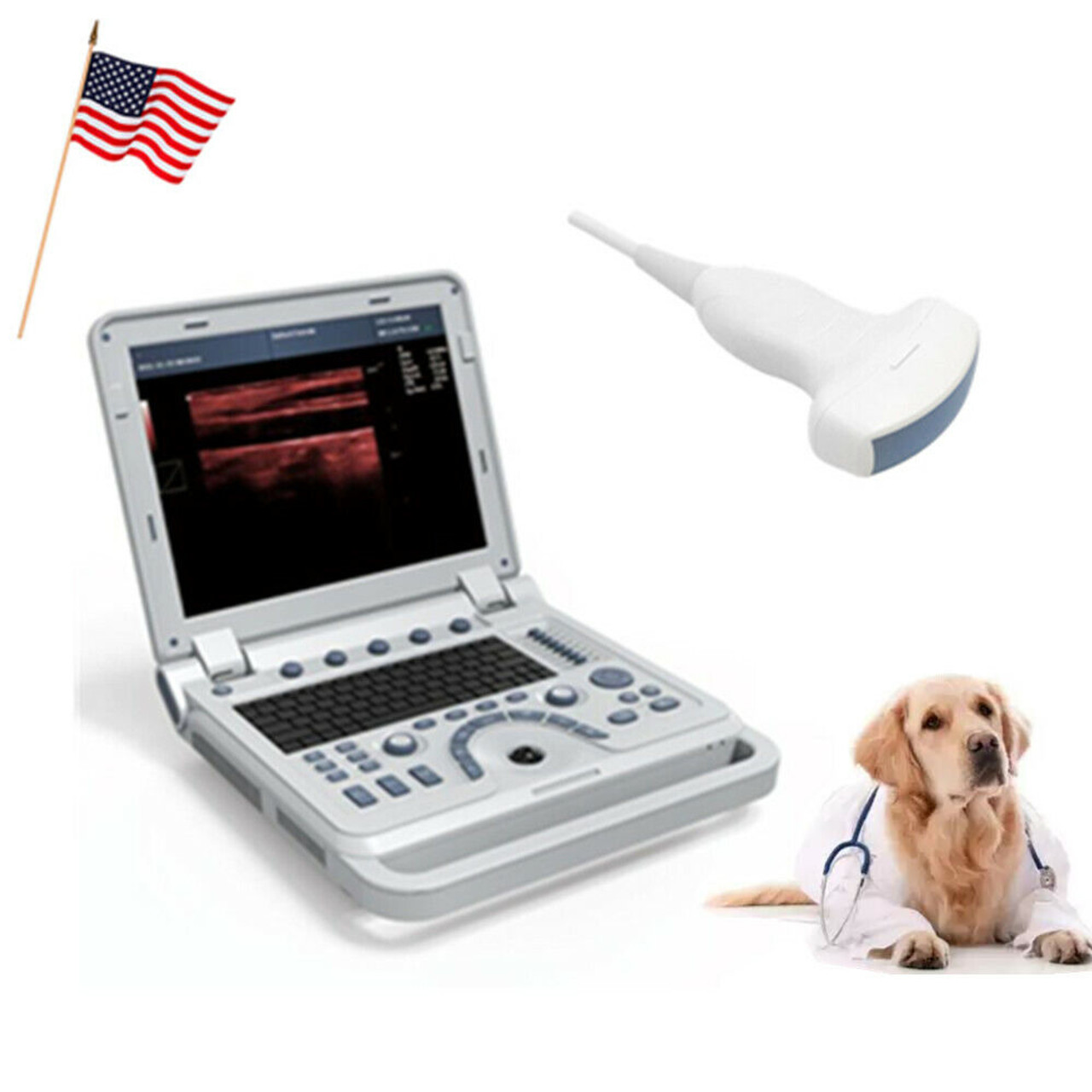 Portable Veterinary Ultrasound Scanner Laptop Convex Probe Pw Pulse Wave Doppler