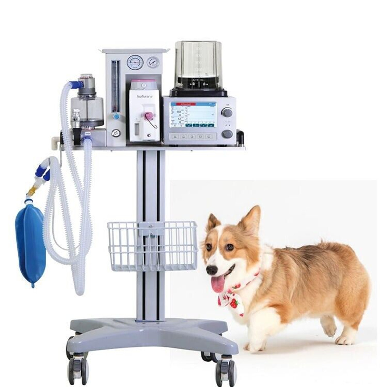 Bmv Professional Veterinary Anesthesia Machine Large Animals BAM-8