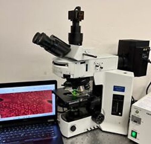 Olympus BX51 Fluorescence Nomarski Dic Microscope 5MP Cam Laptop