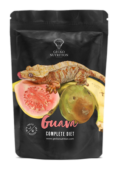 Gecko Nutrition Guava 50g