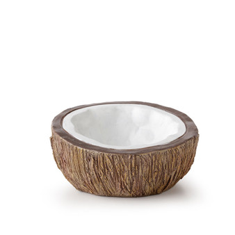Exo Terra Tiki Coconut Water Dish, PT3158