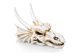Giganterra Medium Dragon Skull 20x15x14cm