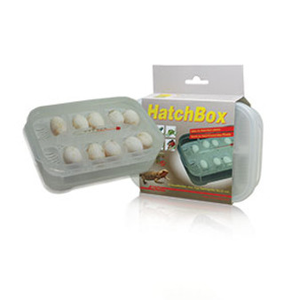 Lucky Reptile Hatchbox Incubation Tray, HB-01