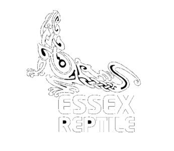 Essex Reptile Ltd