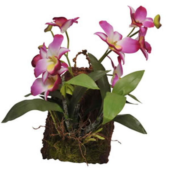 Lucky Reptile Hanging Orchid Purple IF-18