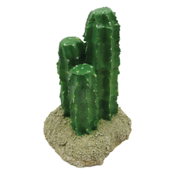 8.7Cm Cactus