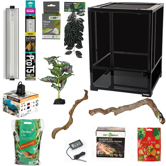 Crested Gecko Kit Ultimate (Store Collection Only)