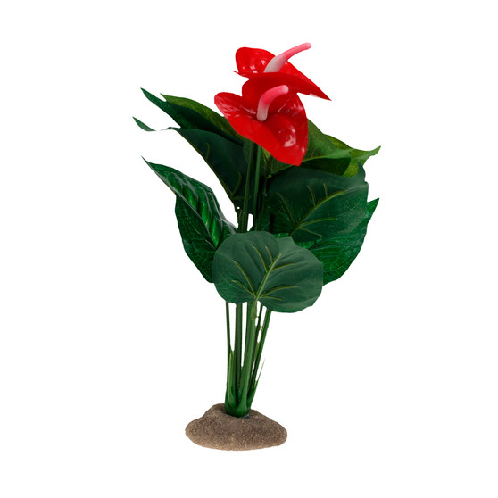 Terra Della Anthurium Red 12x10x30cm