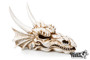GiganTerra Dragon Skull Large - 28.5 x 21.5 x 19.5 cm