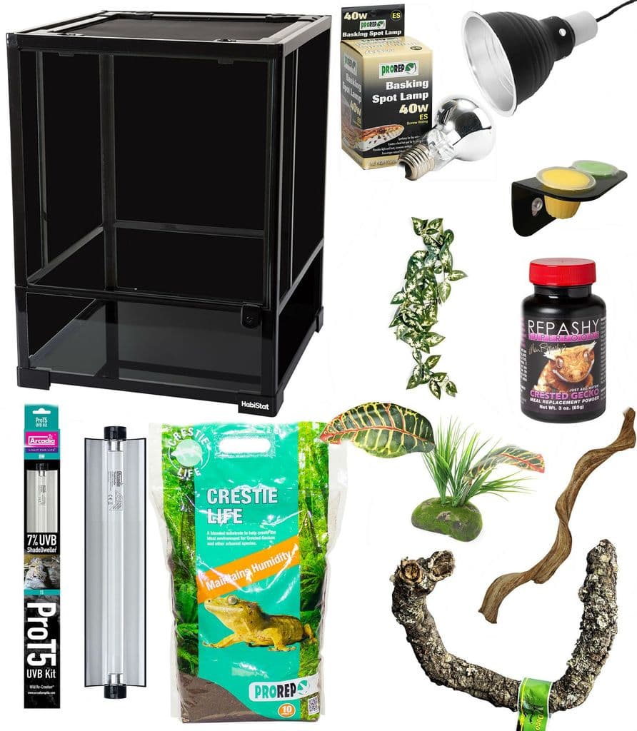 Crested Gecko Kit Ultimate (Store Collection Only)