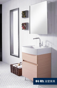 FLEXISPACE  24"浴室儲物櫃 (570mm)