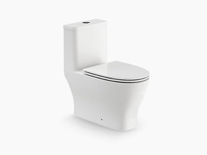 【預購】Reach Up 連體式座厠 3/4.5L 或 3/6L (隱藏線版本)