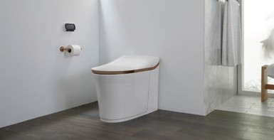 領先同儕的智能坐廁