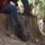 Bearpaw Brady - Chocolate Hickory Black