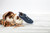 Propet TravelWalker Evo Womens Active Travel - Lifestyle Taupe/Sienna