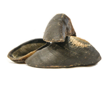 Buffalo Hooves Nature's Pet Cuisine