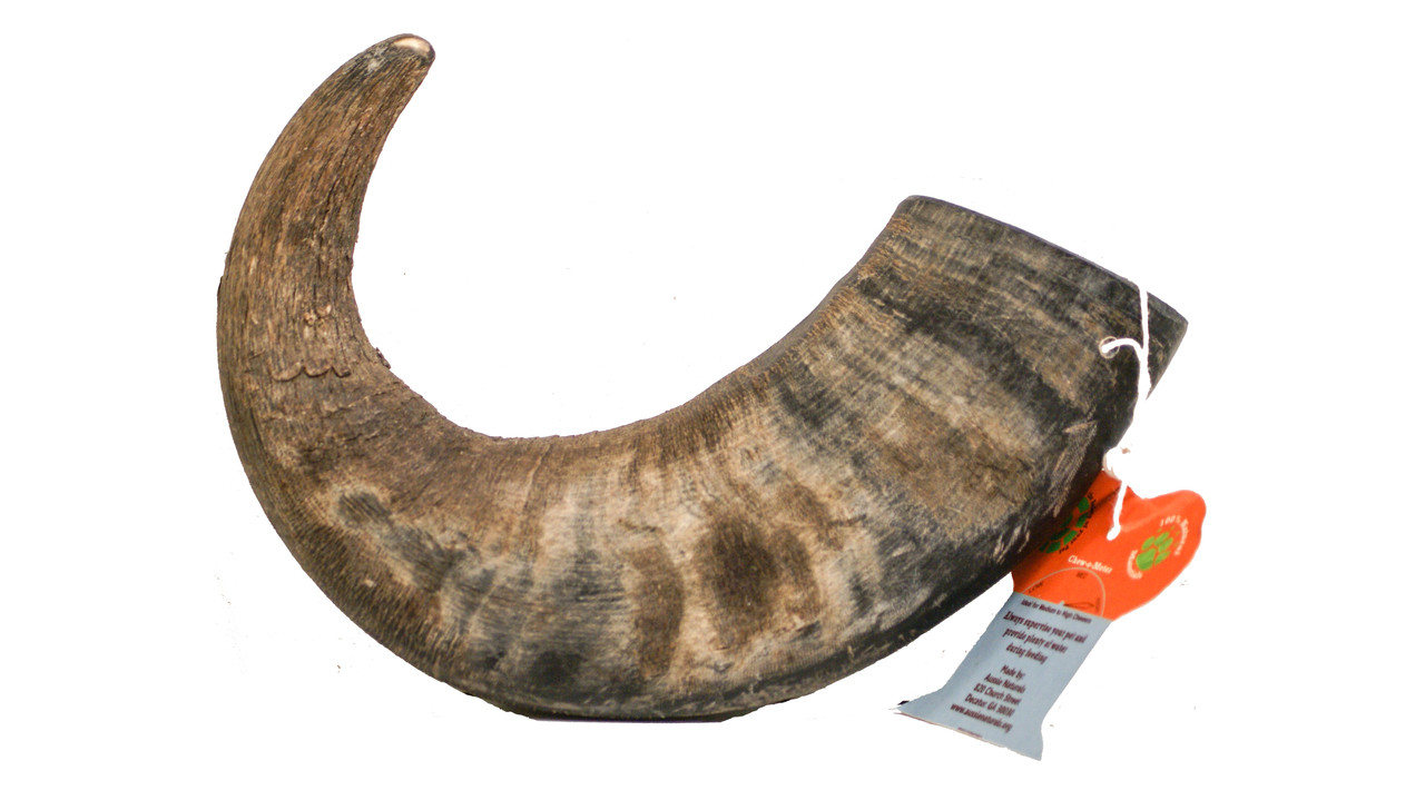 White Buffalo Horn