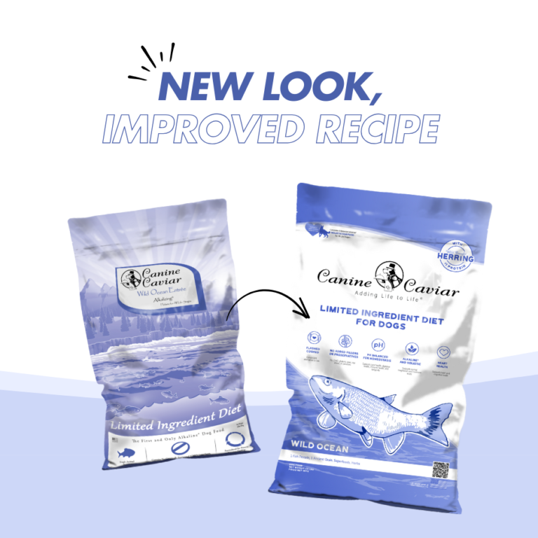 Canine Caviar Wild Ocean Fish Grain Free (22 lbs) 