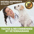 CannaBrina Hemp Stress & Anxiety Relief Dog Treats - 150mg  (5mg/treat or 300mg (10mg/treat), 30 count) - with Chamomile & L-Theanine
