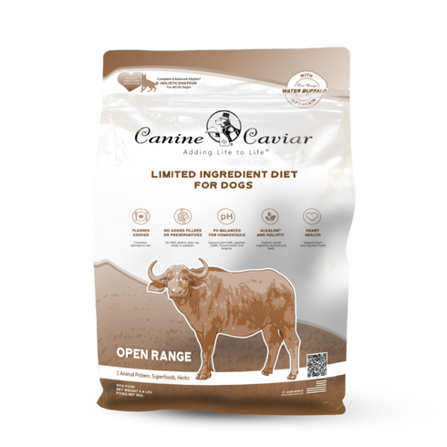 l carnitine workout L-Carnitine as Pre-Workout Supplement: Guide