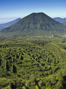 El Salvador Finca Palin landscape image