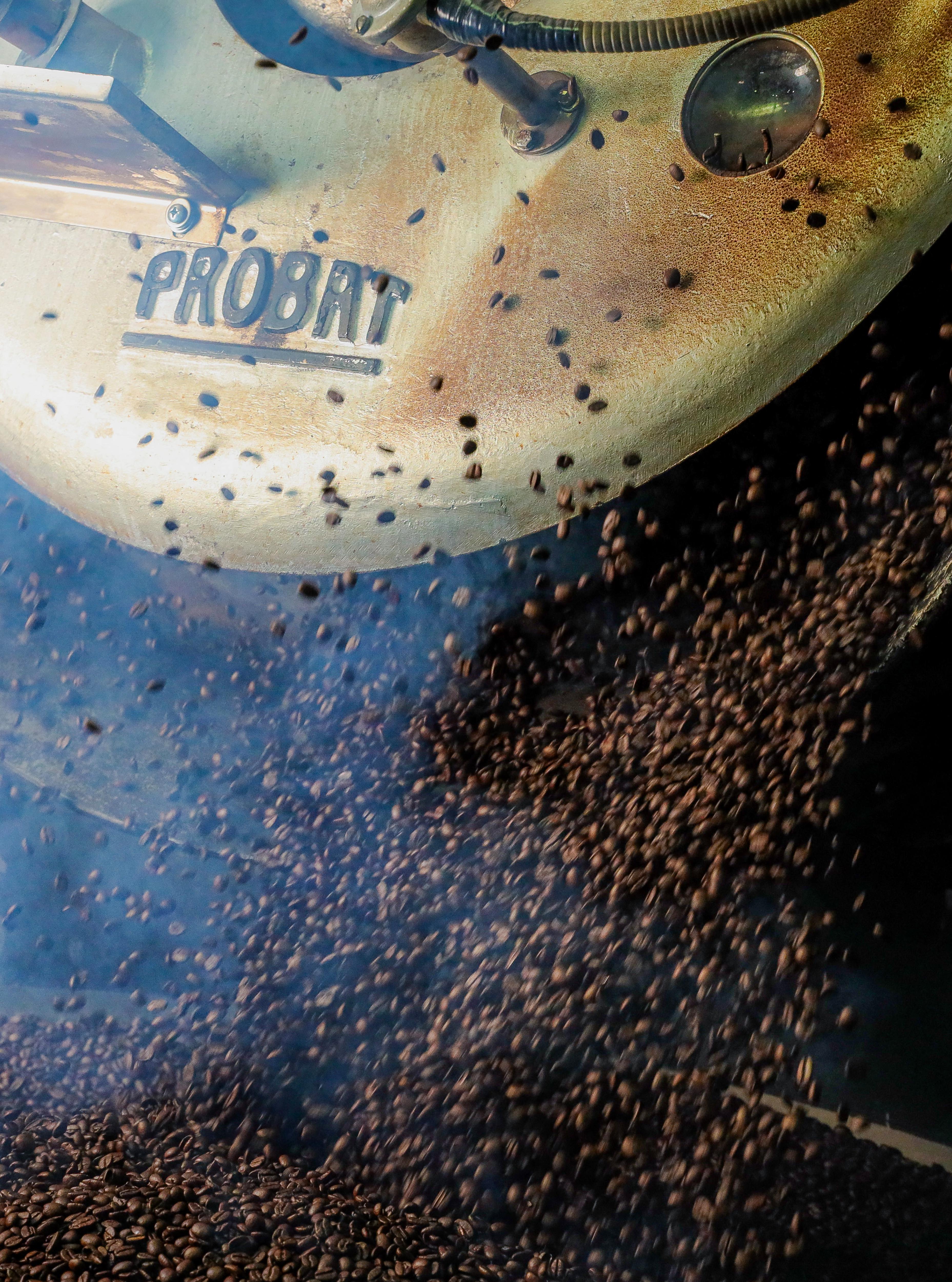 Probat coffee roaster releasing roasted coffee into the cooling tray