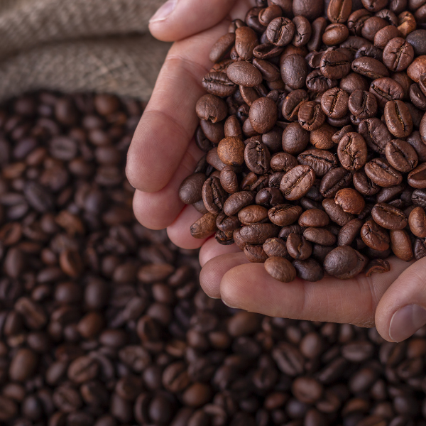 How to Find the Best Whole Bean Coffee Online?