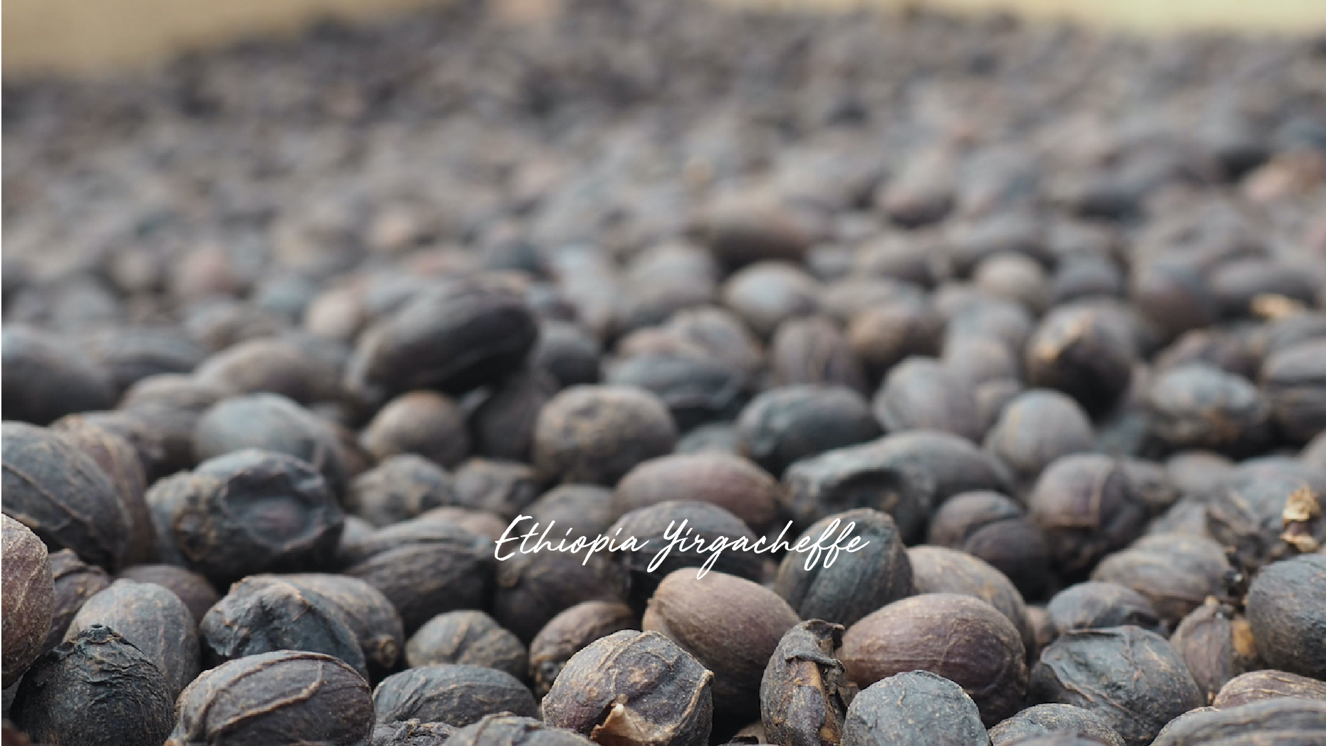 New Single Origin Ethiopia Yirgacheffe