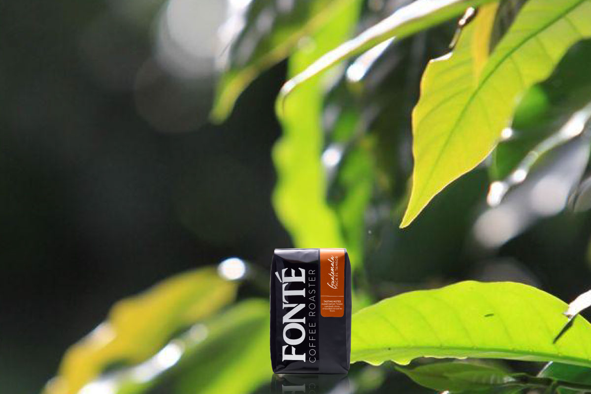 Re-Invented Guatemala Single Origin Coffee