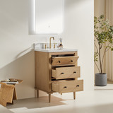 Hausrack Elk vanity 24”x20”