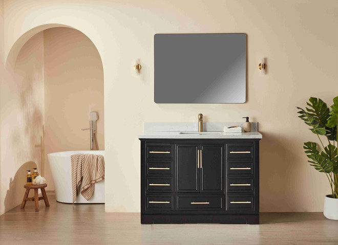 Hausrack Black 48 Inch Bathroom Vanity Hausrack Black 48 Inch Bathroom Vanity