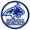 MONTANA STATE BOBCATS Collegiate Logo Metal Wall Art Decor