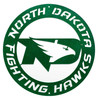 12" NORTH DAKOTA FIGHTING HAWKS Collegiate Logo Metal Wall Art Decor