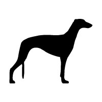 Greyhound