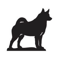 Norwegian Elkhound