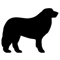 Great Pyrenees