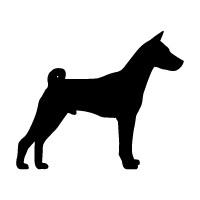 Basenji